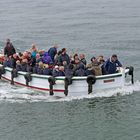 Helgoländer Börteboot "Rasmus"