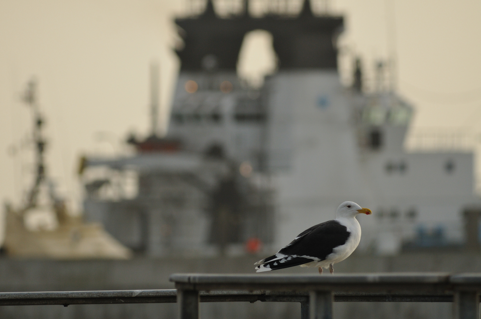 Helgoländer Hafen