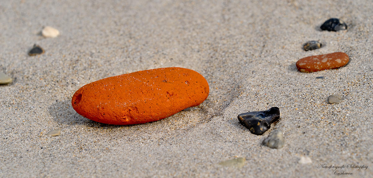 Helgoländer Strandgut, oder auch Zeuge...