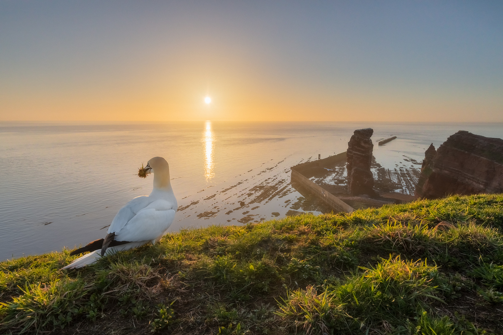 Helgoland