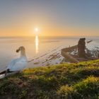 Helgoland