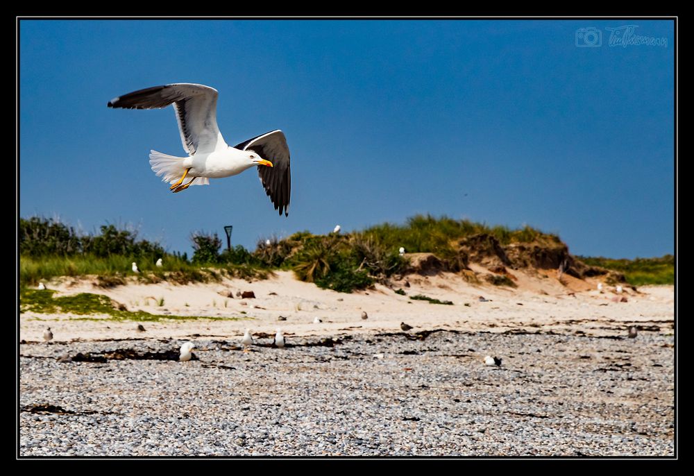 Helgoland #10