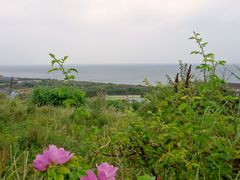 Helgoland