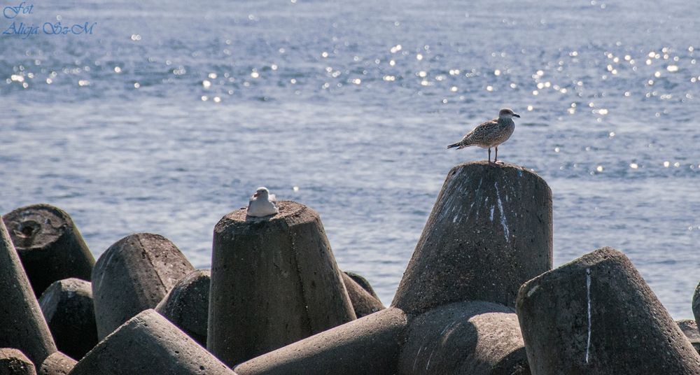 Helgoland