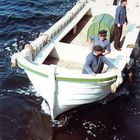 Helgoland 1967 - Börteboot