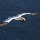 Helgoland