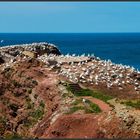 Helgoland 2