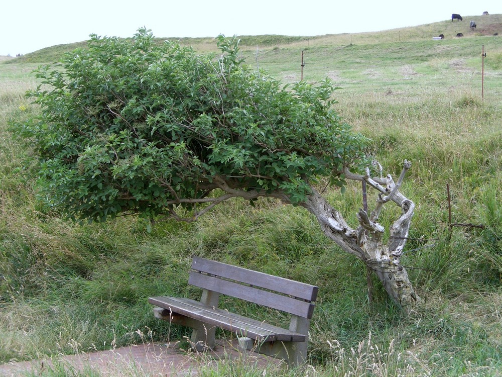 Helgoland 2005