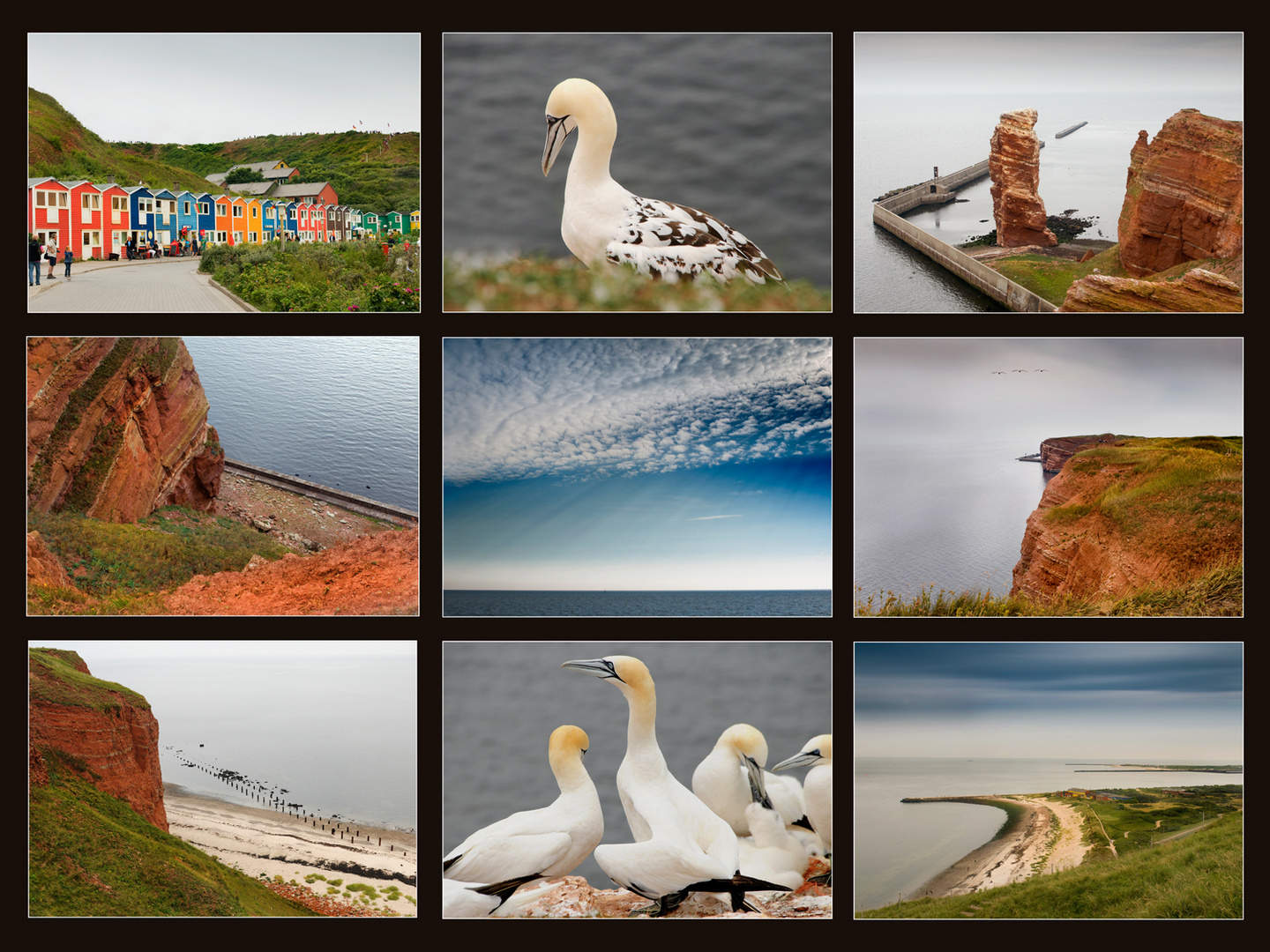 Helgoland 2010