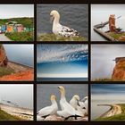 Helgoland 2010