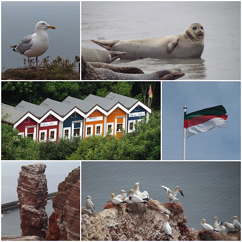 Helgoland 2013