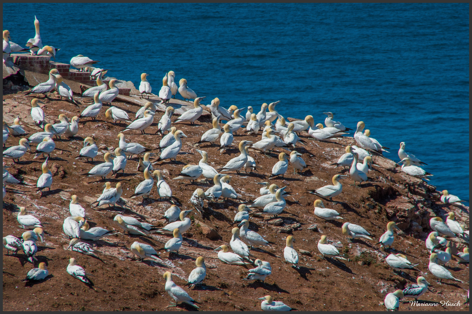 Helgoland 3