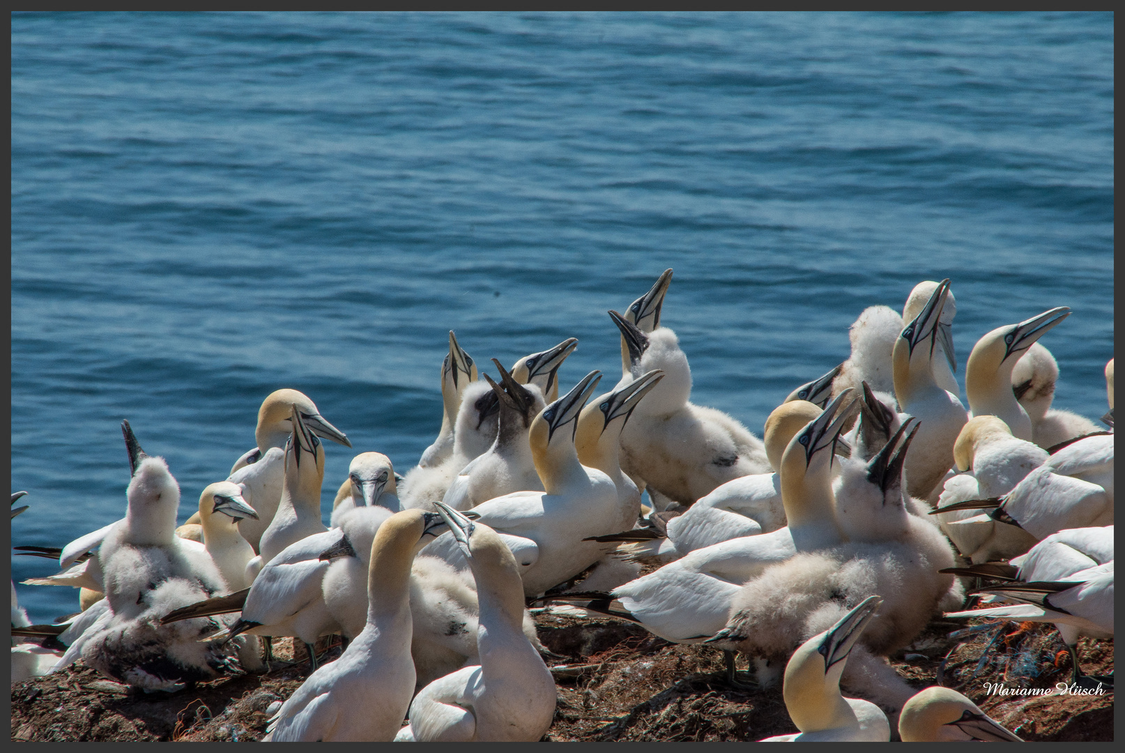 Helgoland 4