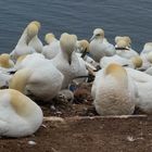 Helgoland