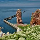 Helgoland