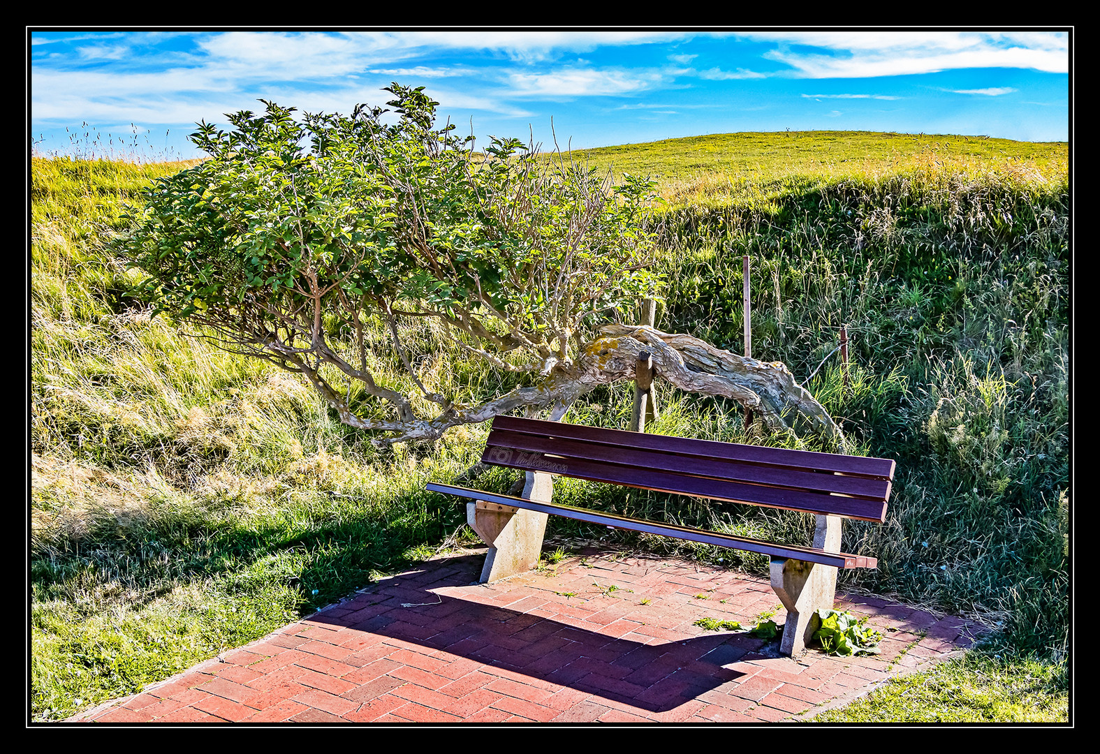 Helgoland #5