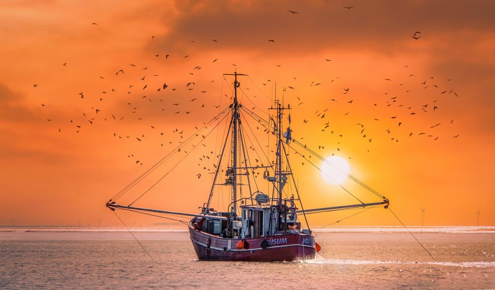 Helgoland #5 (Fishing boat on its way home)