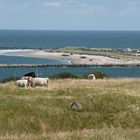 Helgoland