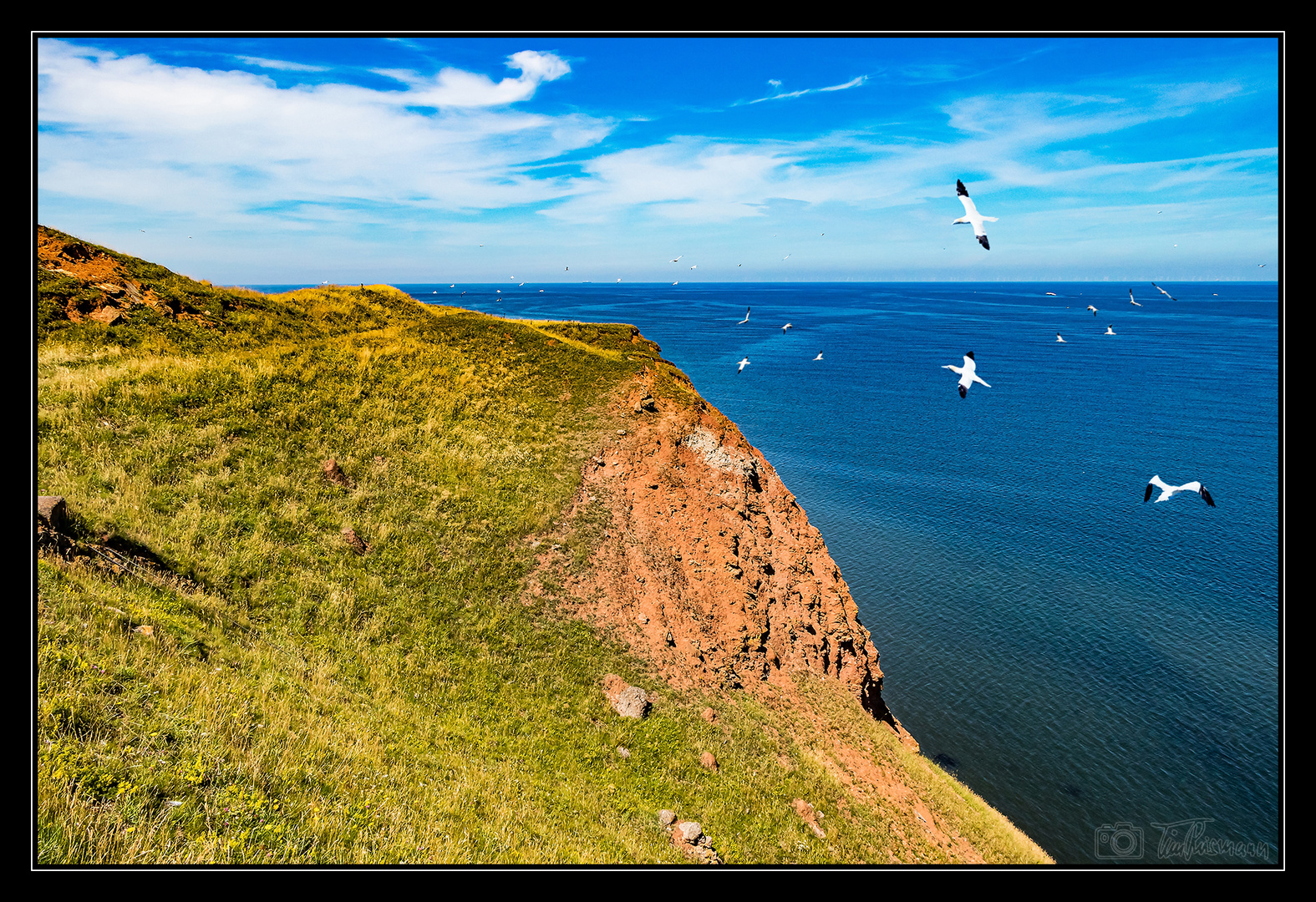 Helgoland #6