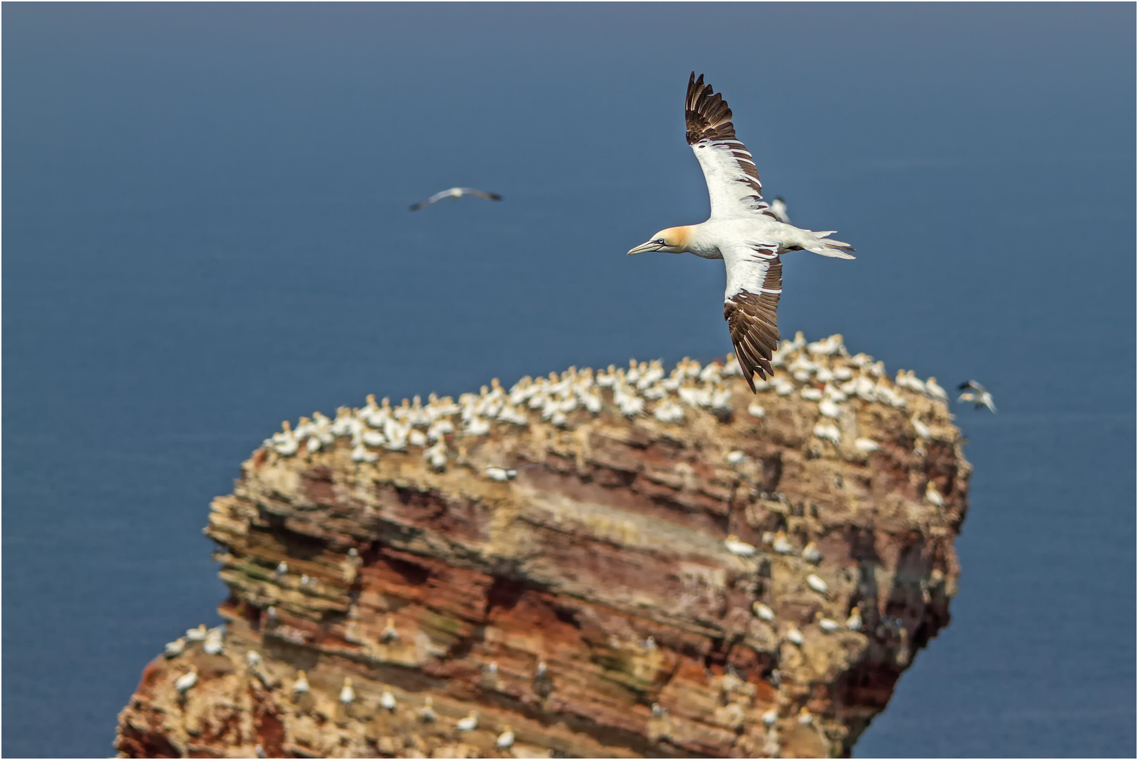 Helgoland