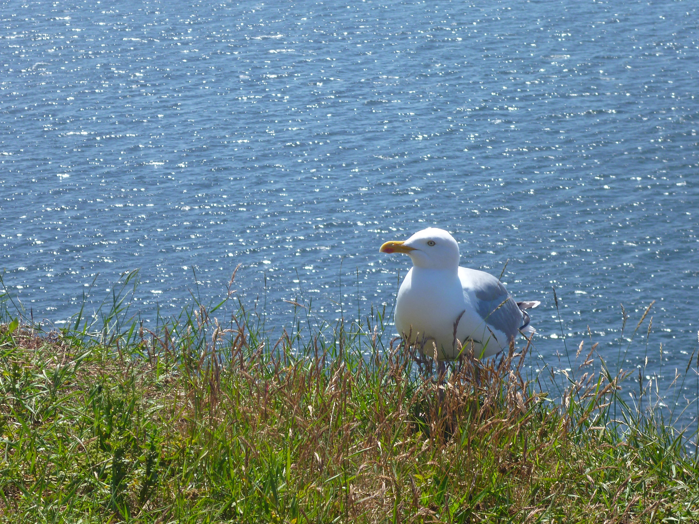 Helgoland