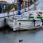 Helgoland