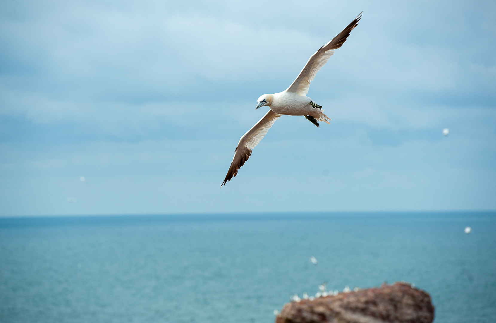 Helgoland