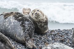 Helgoland-9906-a