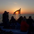 Helgoland: Abendfahrt auf Fotopirsch