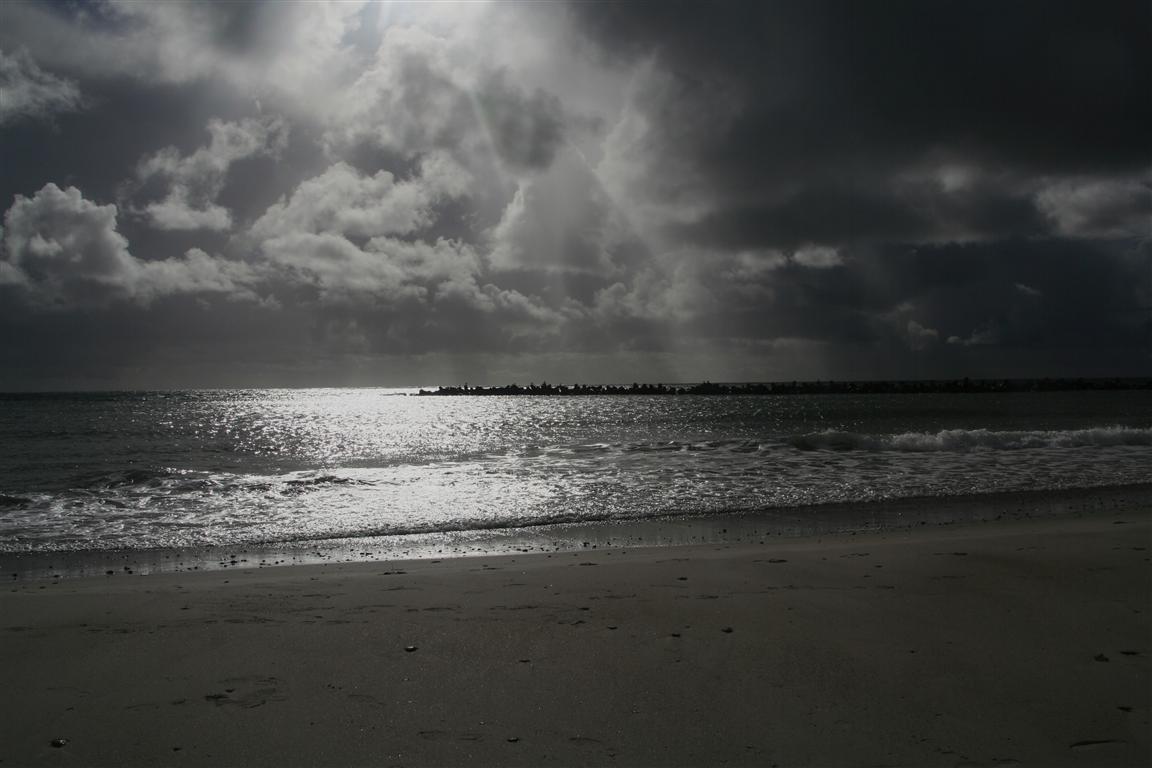 Helgoland: Auf der Düne (6)