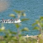 Helgoland - Ausbootung