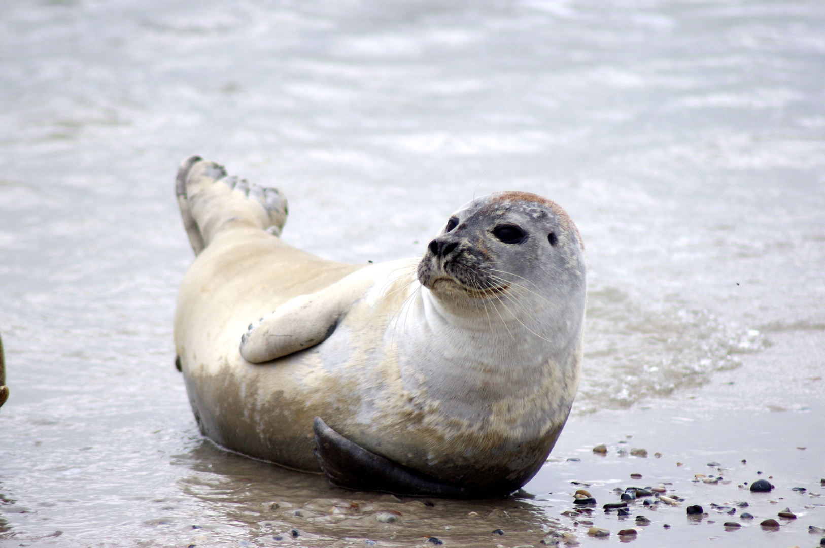 Helgoland