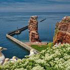 Helgoland