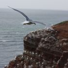 Helgoland