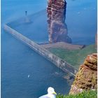 Helgoland - Brandungsfelsen "Lange Anna"....im leichten Morgennebel 