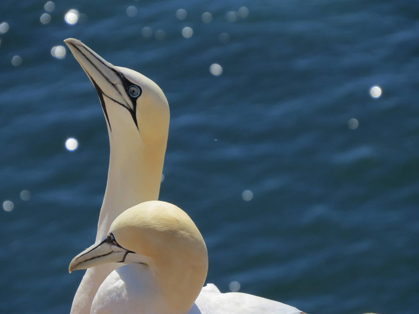 Helgoland