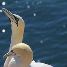 Helgoland