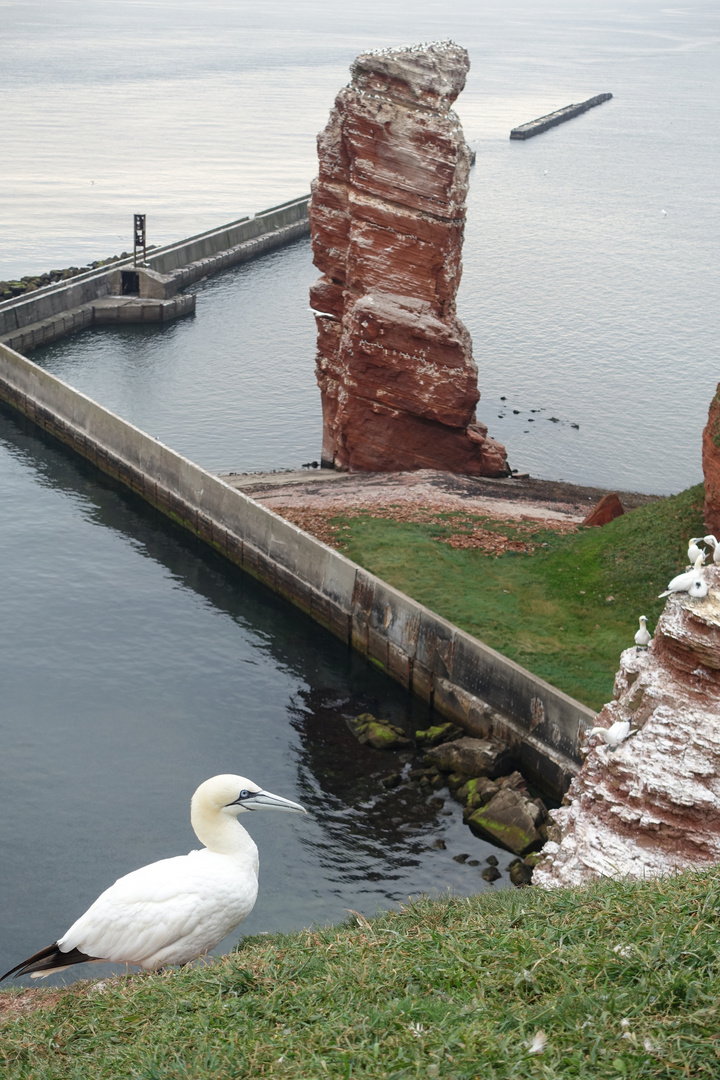 Helgoland