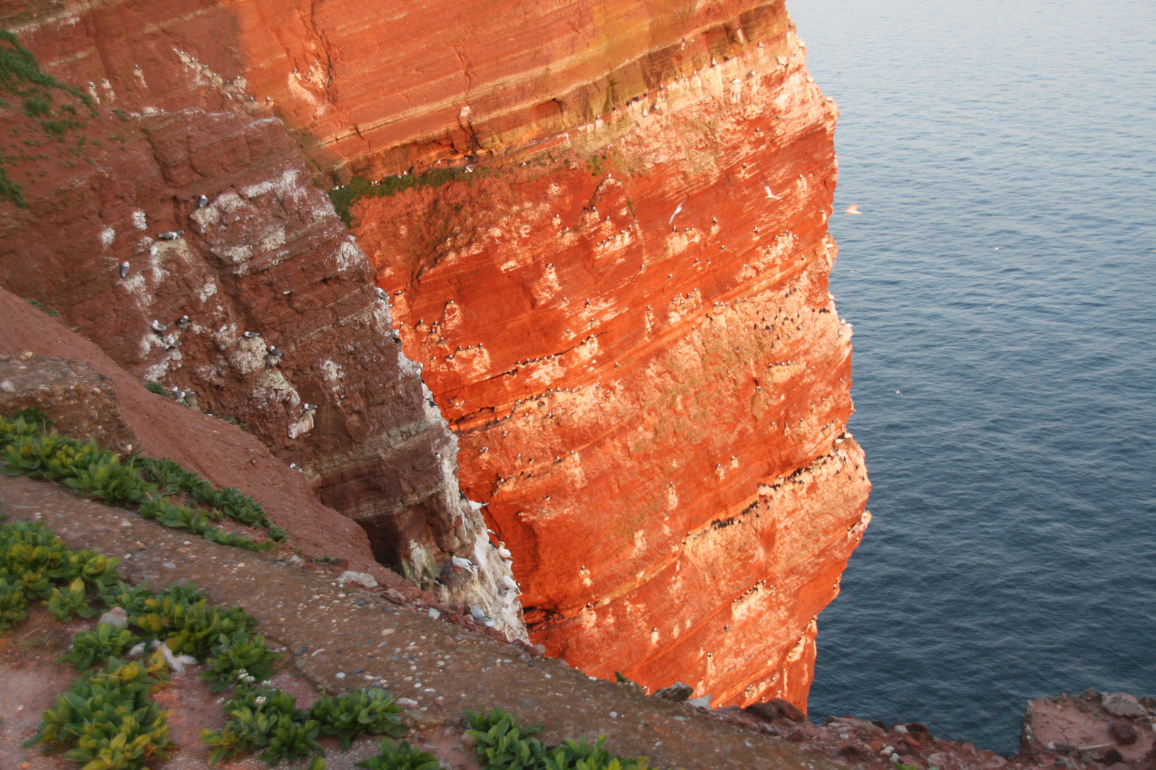 Helgoland - der rote Felsen mitten im Meer