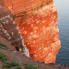 Helgoland - der rote Felsen mitten im Meer