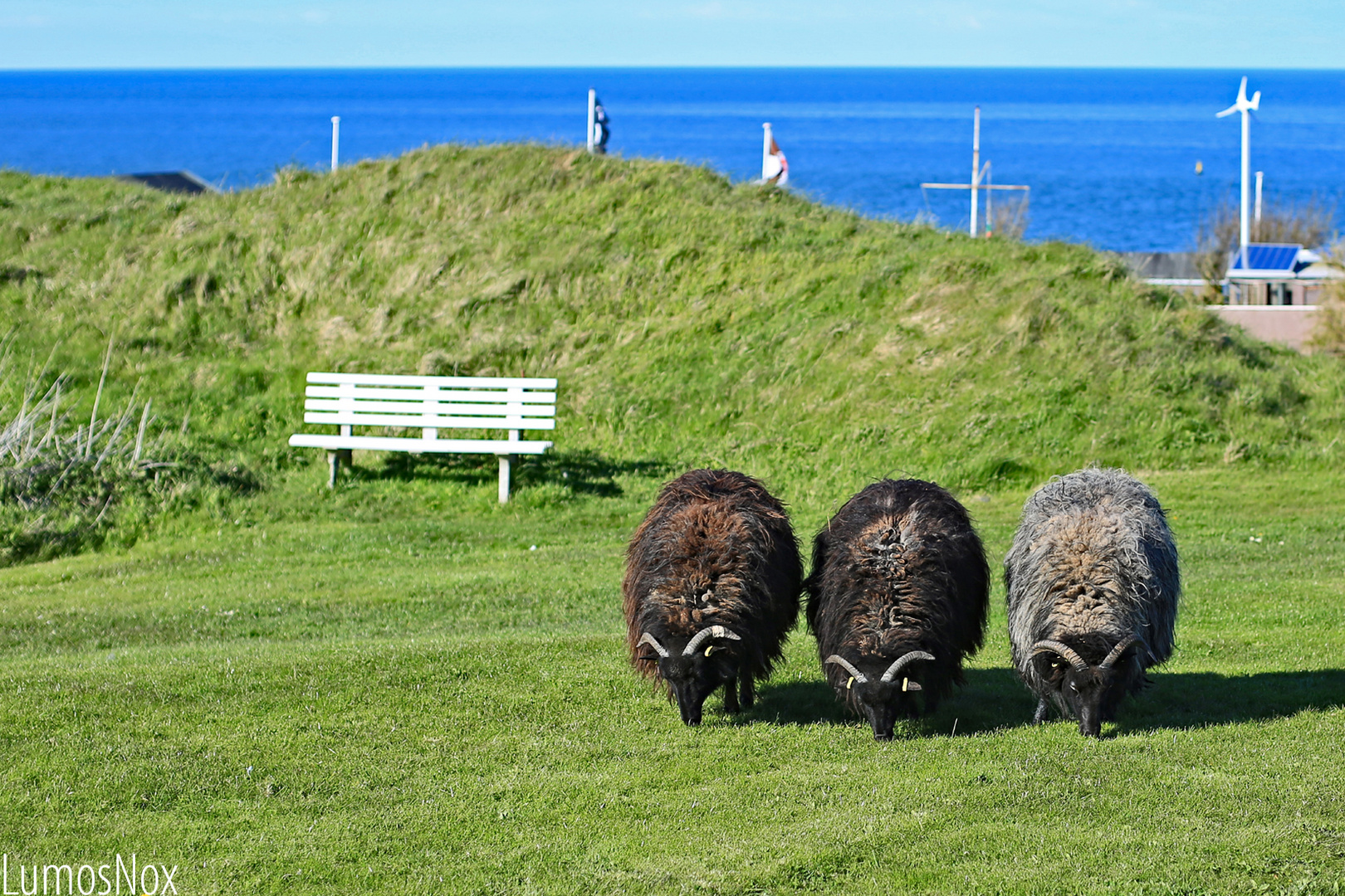 Helgoland