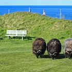 Helgoland