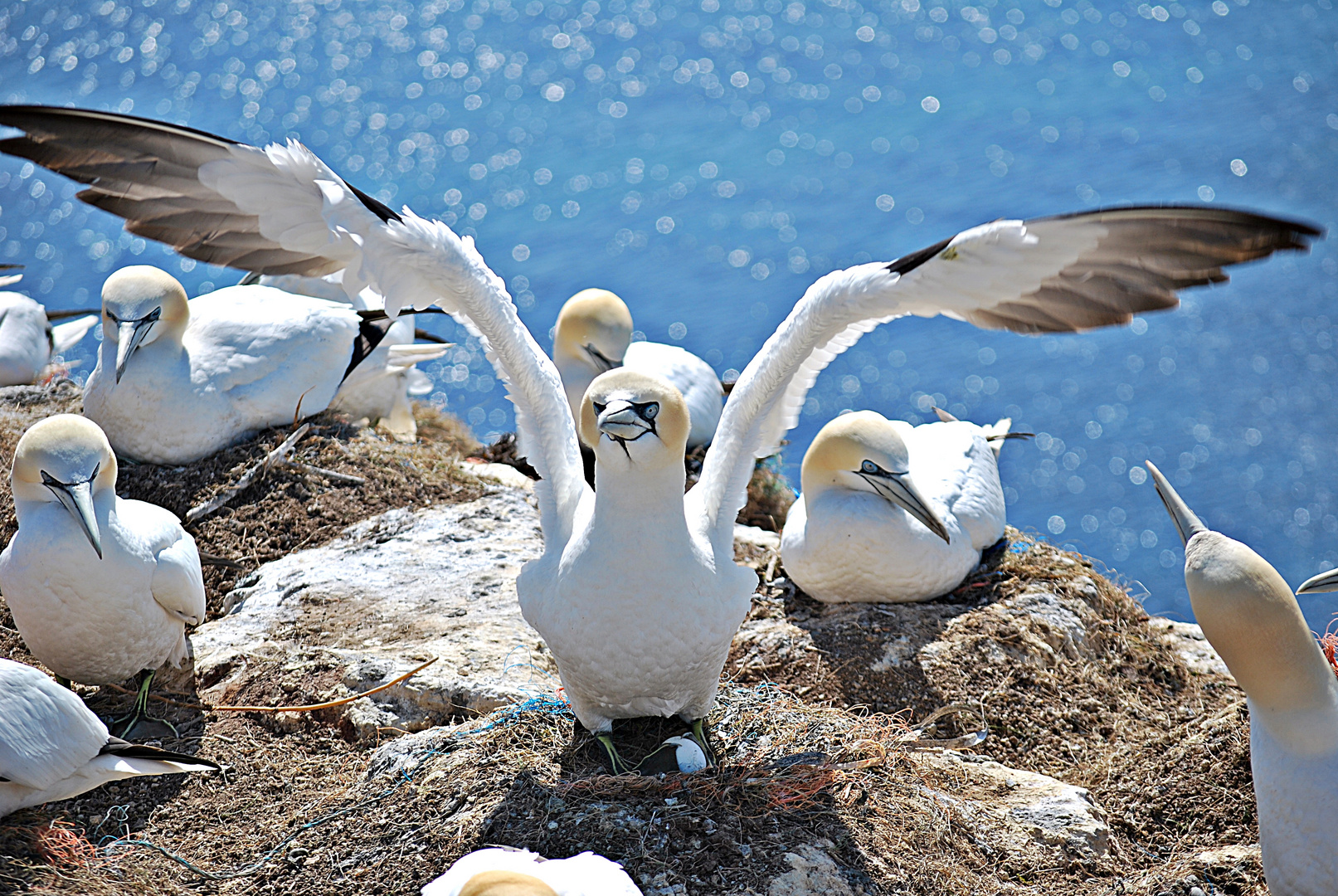 Helgoland-feelings...