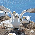 Helgoland-feelings...