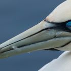 Helgoland