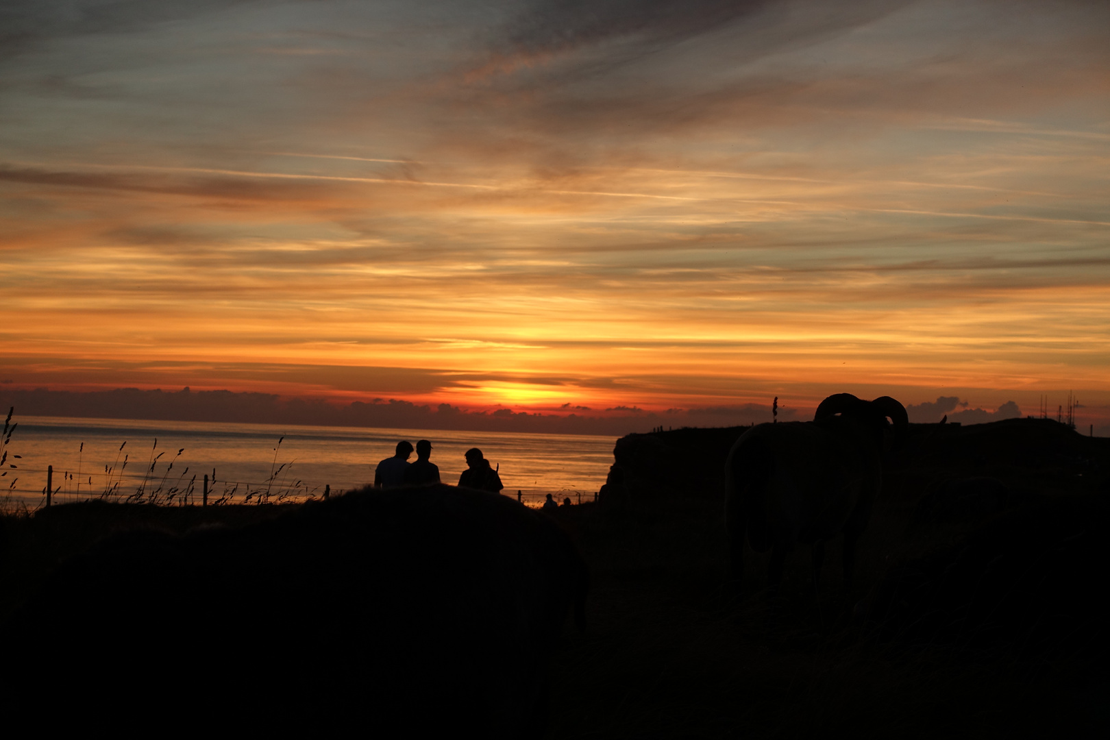 Helgoland Hochland Sonnenuntergang