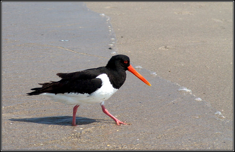 Helgoland I