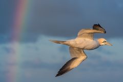 Helgoland im April 2016