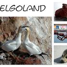 Helgoland-Impressionen