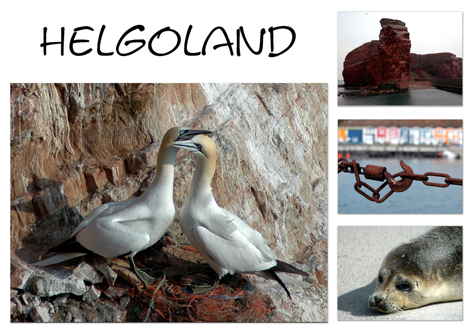 Helgoland-Impressionen